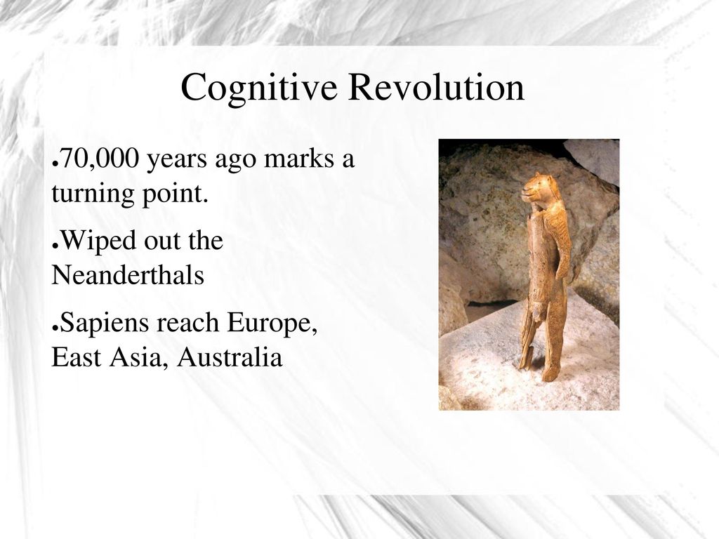Cognitive revolution evolution sale